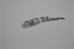rachel-wing-mist-is-hanging-low-over-the-earth-2