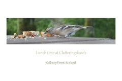 lunch-time-at-clatteringshaws